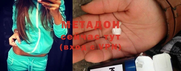 индика Алзамай