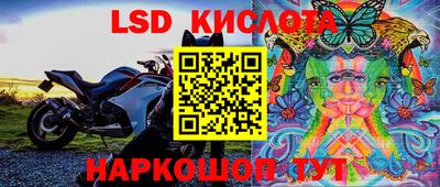 spice Кинель