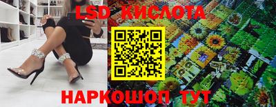 spice Кинель