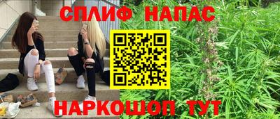 spice Кинель