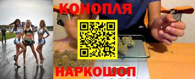 2c-b Кингисепп