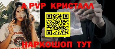 2c-b Кингисепп