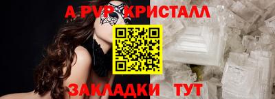 2c-b Кингисепп