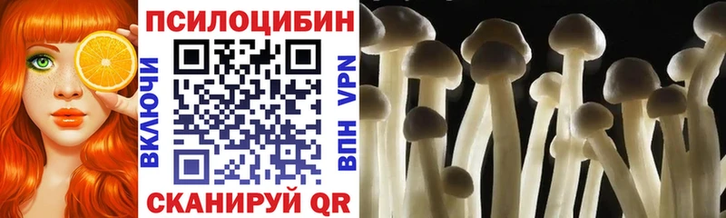 мега маркетплейс  купить   Стерлитамак  Галлюциногенные грибы Magic Shrooms 