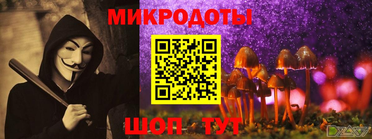 Галлюциногенные грибы GOLDEN TEACHER Стерлитамак